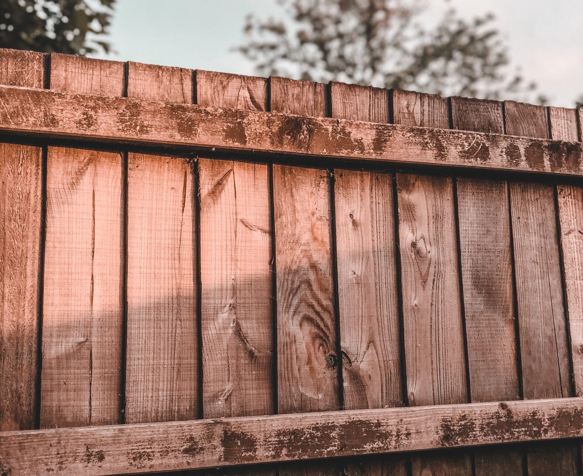 Fence-contractor-1