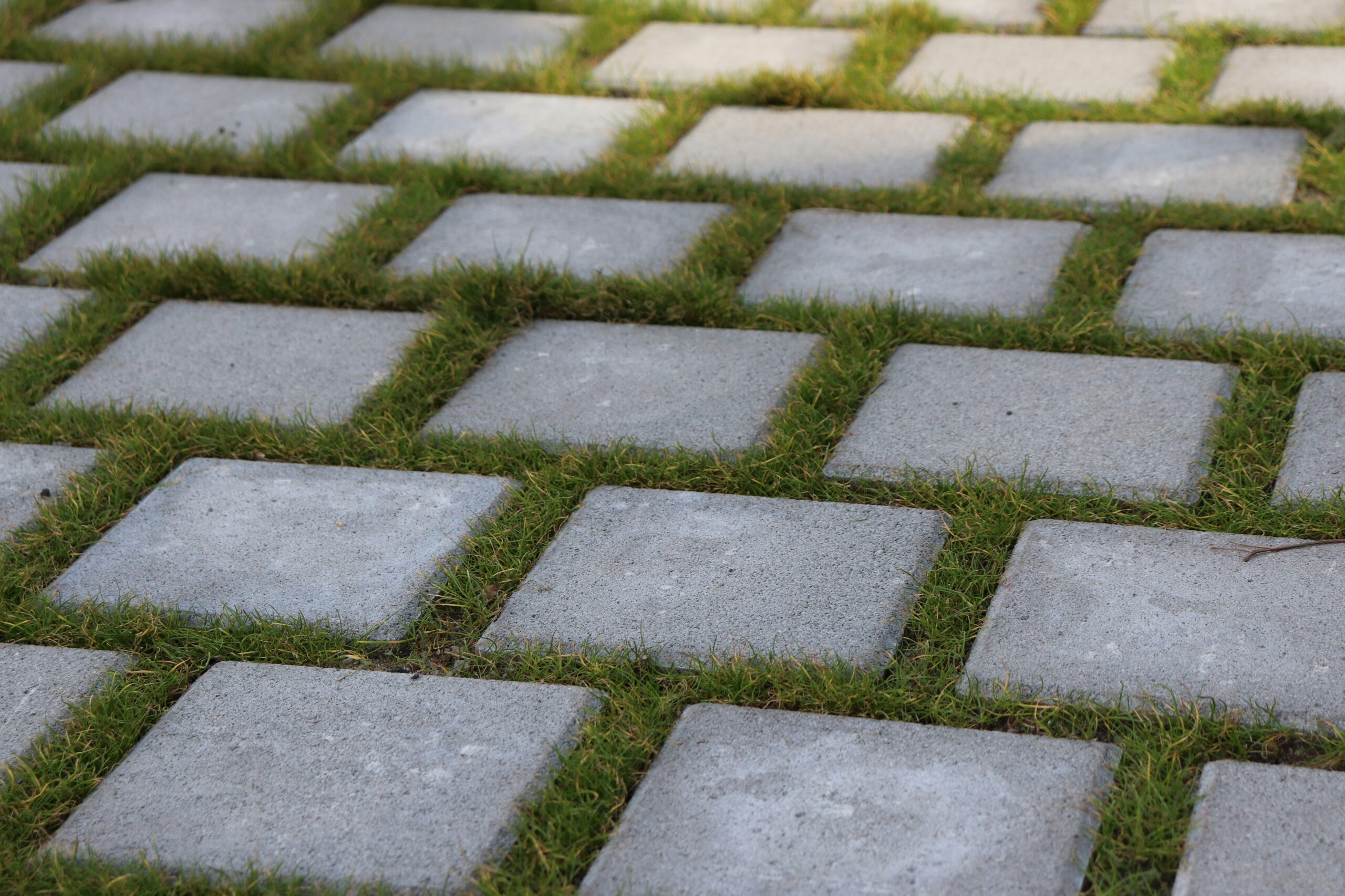 Paving Contractor in Folsom